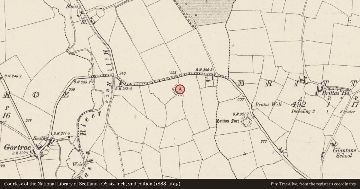 Ordnance Survey six-inch map, 2nd edition (1888–1915) covering the location of Ringfort - rath, Gortmolire, County Cork, with a pin at the register's coordinates