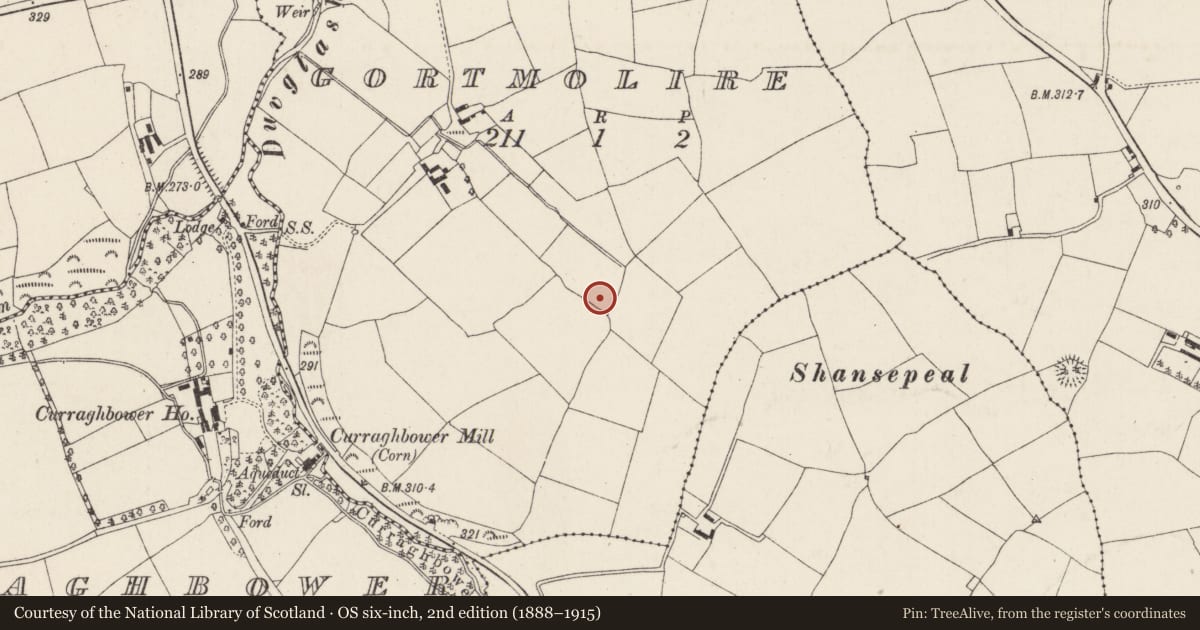Ordnance Survey six-inch map, 2nd edition (1888–1915) covering the location of Fulacht fia, Gortmolire, County Cork, with a pin at the register's coordinates