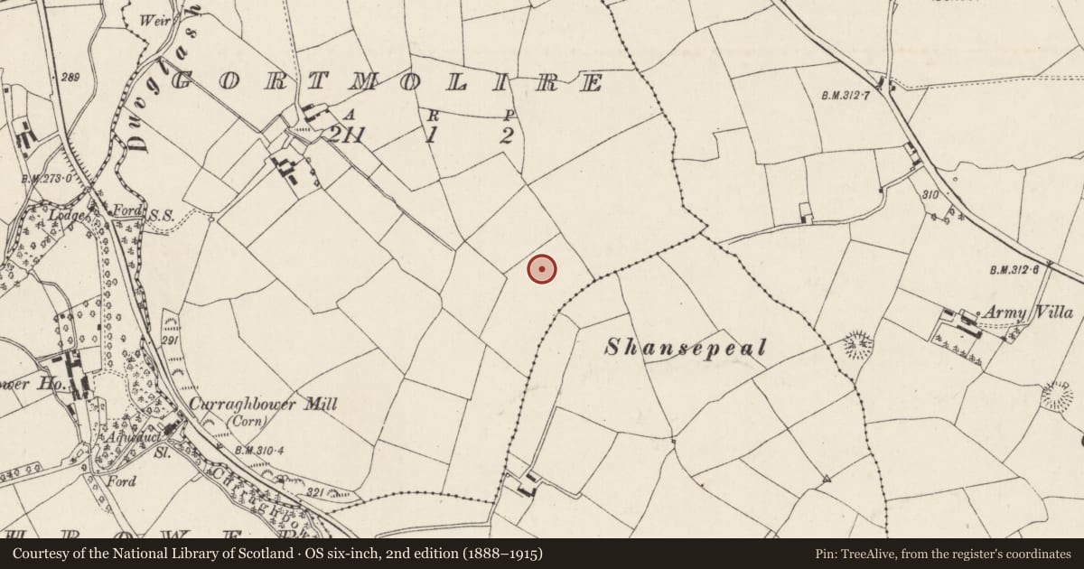 Ordnance Survey six-inch map, 2nd edition (1888–1915) covering the location of Fulacht fia, Gortmolire, County Cork, with a pin at the register's coordinates