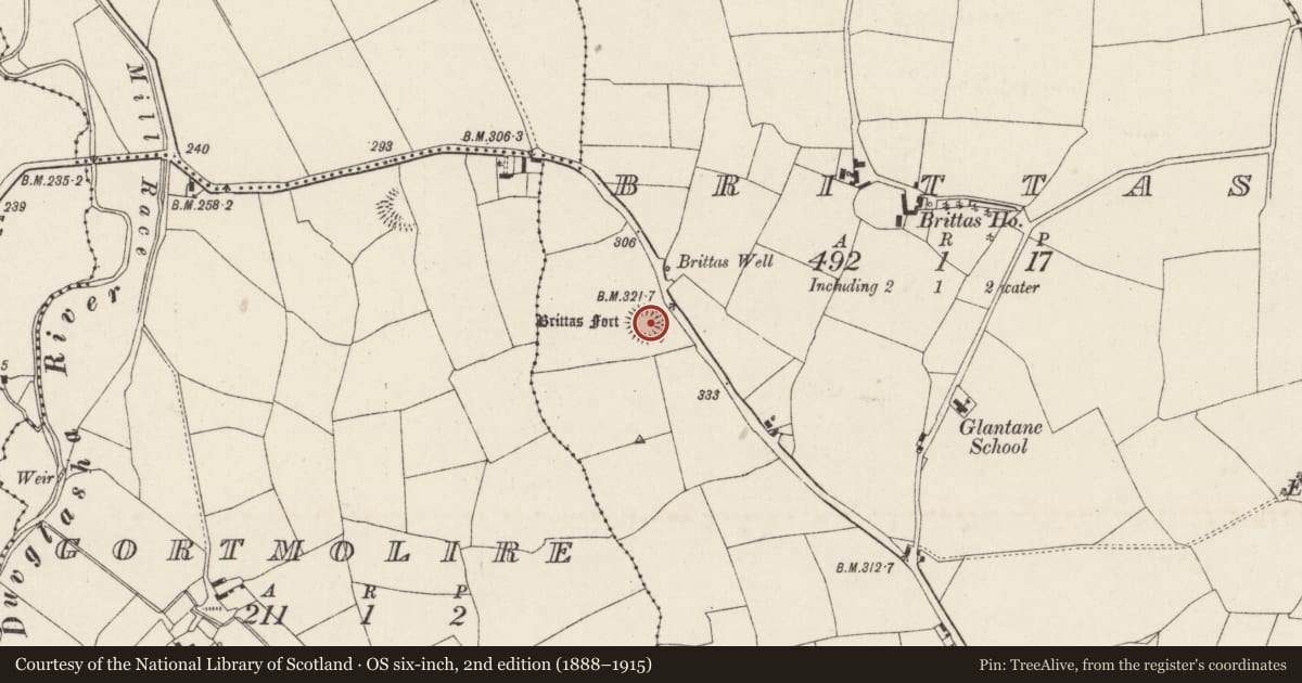 Ordnance Survey six-inch map, 2nd edition (1888–1915) covering the location of Ringfort - rath, Brittas, County Cork, with a pin at the register's coordinates