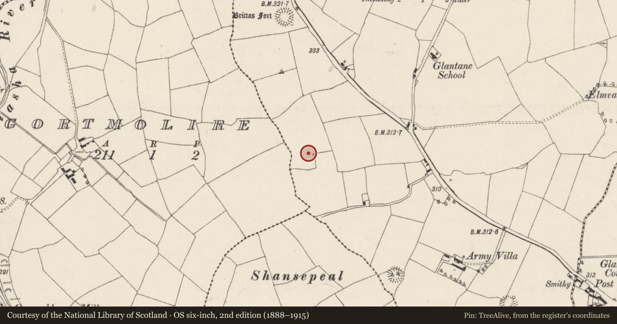 Ordnance Survey six-inch map, 2nd edition (1888–1915) covering the location of Ringfort - rath, Brittas, County Cork, with a pin at the register's coordinates