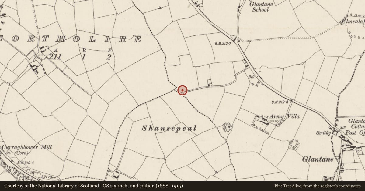 Ordnance Survey six-inch map, 2nd edition (1888–1915) covering the location of Church, Brittas, County Cork, with a pin at the register's coordinates