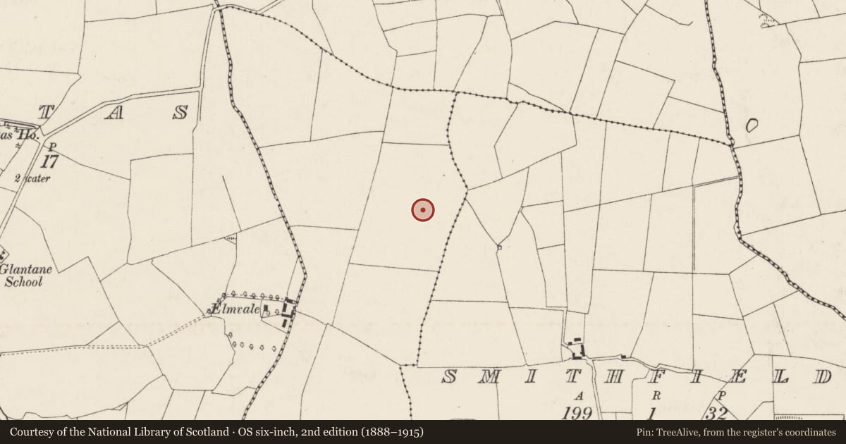 Ordnance Survey six-inch map, 2nd edition (1888–1915) covering the location of Ringfort - rath, Glantane, County Cork, with a pin at the register's coordinates