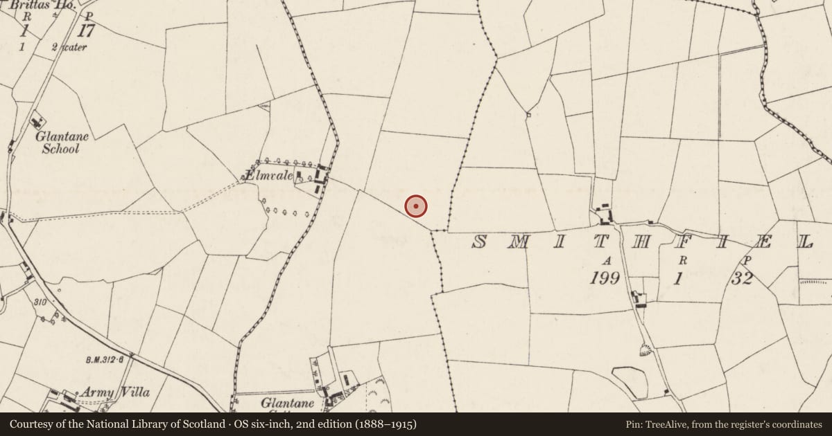 Ordnance Survey six-inch map, 2nd edition (1888–1915) covering the location of Enclosure, Glantane, County Cork, with a pin at the register's coordinates