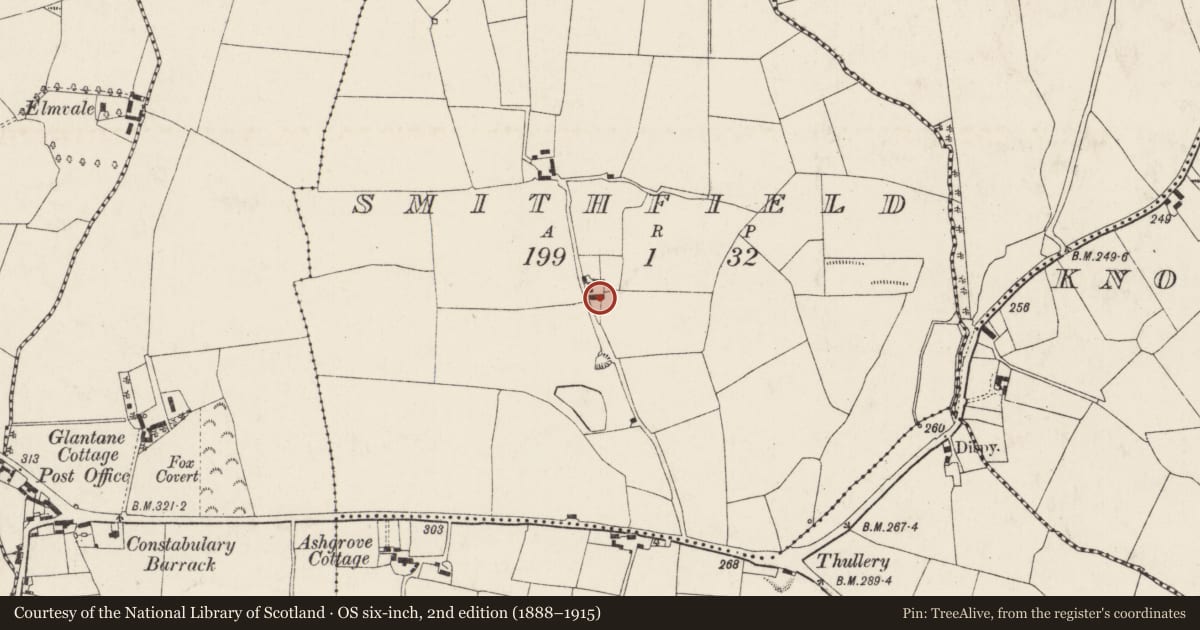 Ordnance Survey six-inch map, 2nd edition (1888–1915) covering the location of House - vernacular house, Smithfield, County Cork, with a pin at the register's coordinates