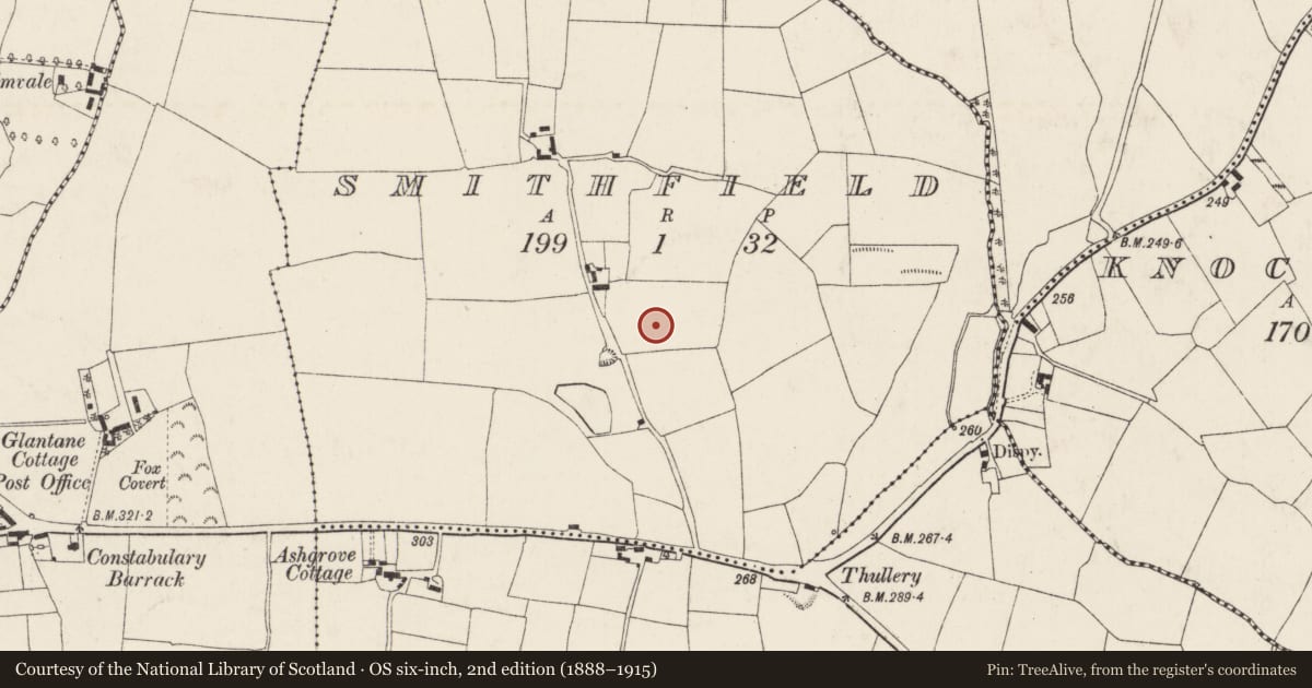 Ordnance Survey six-inch map, 2nd edition (1888–1915) covering the location of Ringfort - rath, Smithfield, County Cork, with a pin at the register's coordinates