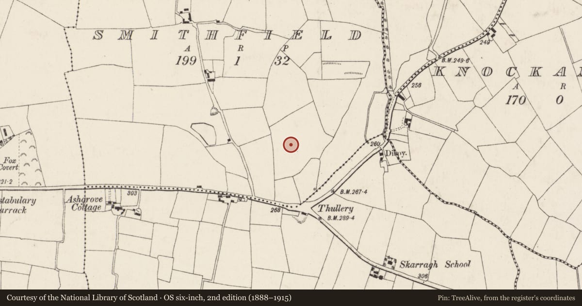 Ordnance Survey six-inch map, 2nd edition (1888–1915) covering the location of Ringfort - rath, Smithfield, County Cork, with a pin at the register's coordinates