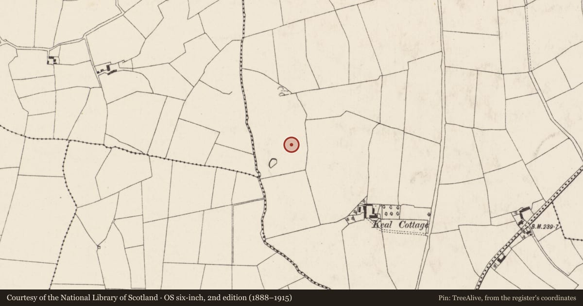 Ordnance Survey six-inch map, 2nd edition (1888–1915) covering the location of Ringfort - rath, Dromaneen, County Cork, with a pin at the register's coordinates