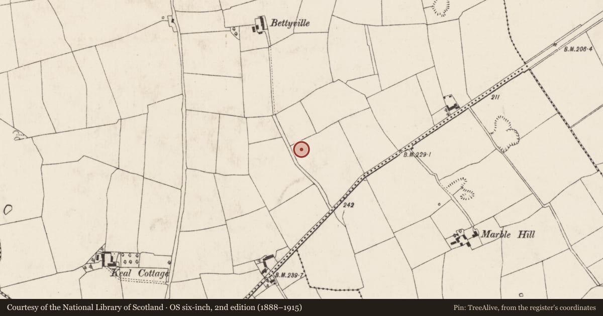 Ordnance Survey six-inch map, 2nd edition (1888–1915) covering the location of Ringfort - rath, Dromaneen, County Cork, with a pin at the register's coordinates