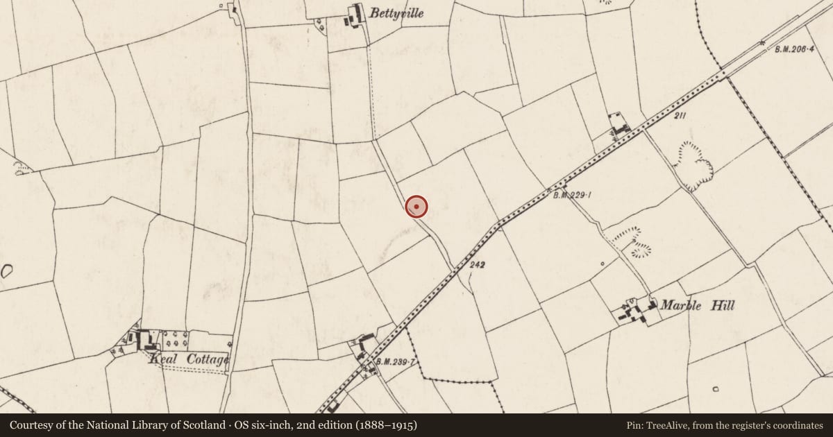 Ordnance Survey six-inch map, 2nd edition (1888–1915) covering the location of Standing stone, Dromaneen, County Cork, with a pin at the register's coordinates