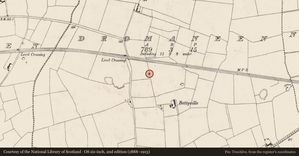 Ordnance Survey six-inch map, 2nd edition (1888–1915) covering the location of Kiln - lime, Dromaneen, County Cork, with a pin at the register's coordinates
