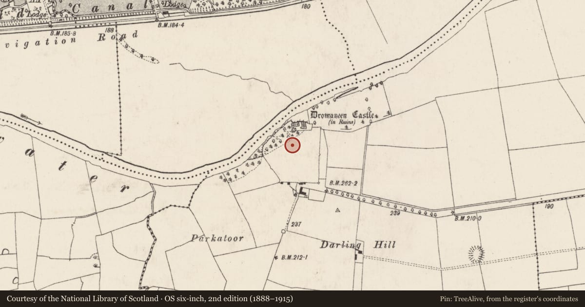 Ordnance Survey six-inch map, 2nd edition (1888–1915) covering the location of Bawn, Dromaneen, County Cork, with a pin at the register's coordinates