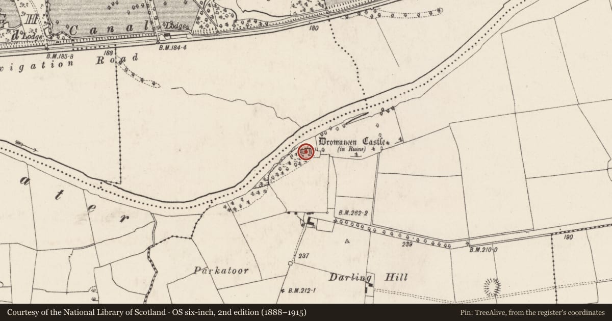 Ordnance Survey six-inch map, 2nd edition (1888–1915) covering the location of House - fortified house, Dromaneen, County Cork, with a pin at the register's coordinates