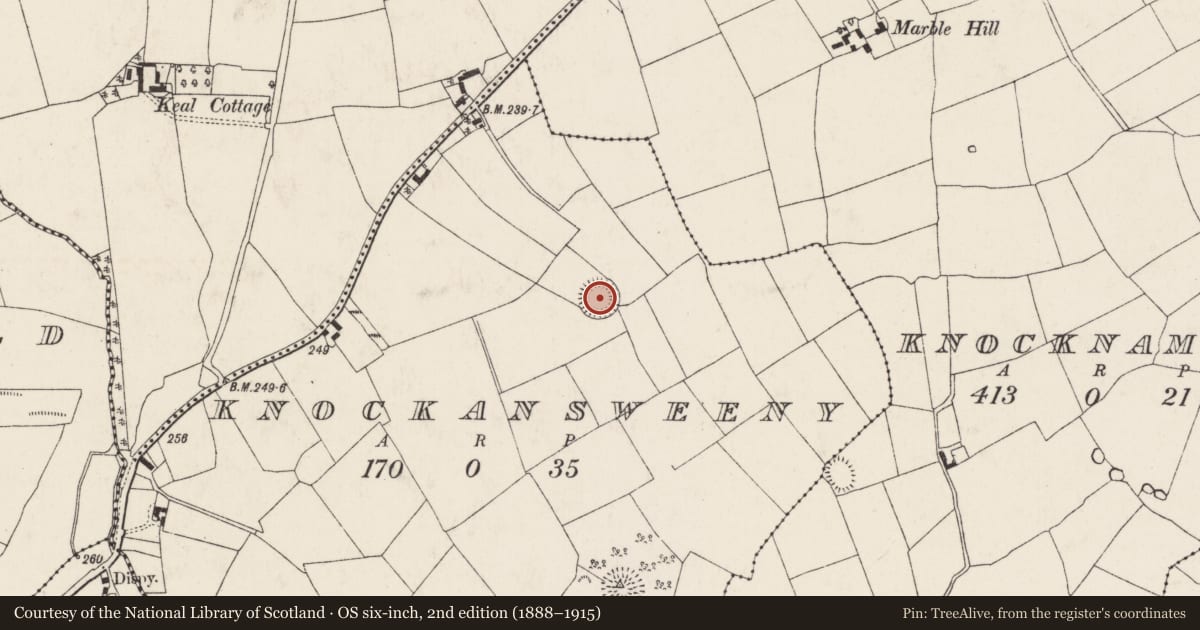 Ordnance Survey six-inch map, 2nd edition (1888–1915) covering the location of Ringfort - rath, Knockansweeny, County Cork, with a pin at the register's coordinates