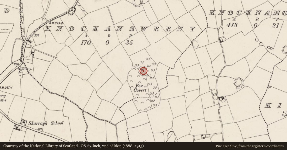 Ordnance Survey six-inch map, 2nd edition (1888–1915) covering the location of Ringfort - rath, Knockansweeny, County Cork, with a pin at the register's coordinates