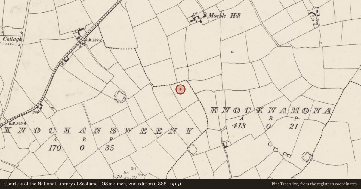 Ordnance Survey six-inch map, 2nd edition (1888–1915) covering the location of Fulacht fia, Knockansweeny, County Cork, with a pin at the register's coordinates