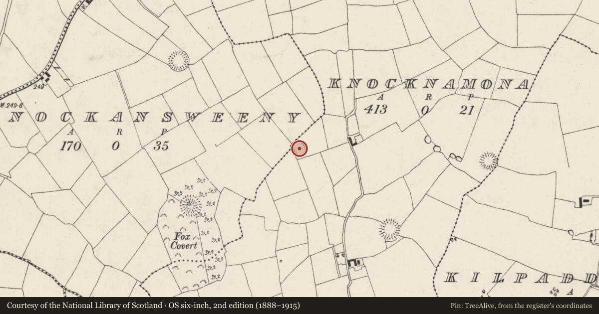 Ordnance Survey six-inch map, 2nd edition (1888–1915) covering the location of Ringfort - rath, Knocknamona, County Cork, with a pin at the register's coordinates