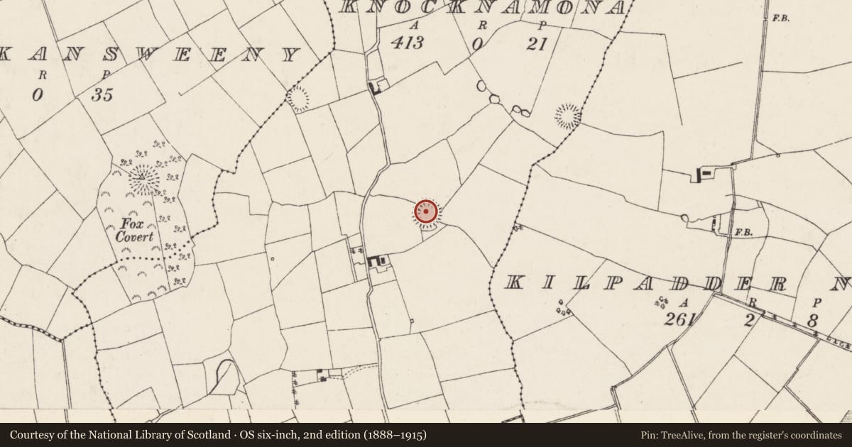 Ordnance Survey six-inch map, 2nd edition (1888–1915) covering the location of Ringfort - rath, Knocknamona, County Cork, with a pin at the register's coordinates