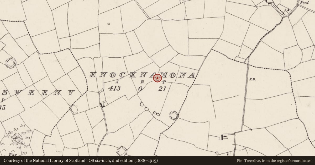 Ordnance Survey six-inch map, 2nd edition (1888–1915) covering the location of Ringfort - rath, Knocknamona, County Cork, with a pin at the register's coordinates