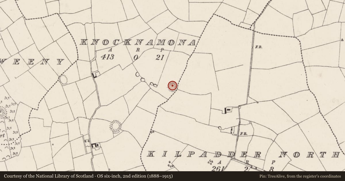 Ordnance Survey six-inch map, 2nd edition (1888–1915) covering the location of Ringfort - rath, Knocknamona, County Cork, with a pin at the register's coordinates