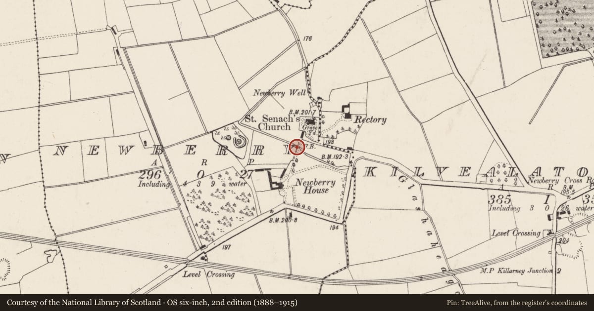 Ordnance Survey six-inch map, 2nd edition (1888–1915) covering the location of Bridge, Newberry, County Cork, with a pin at the register's coordinates