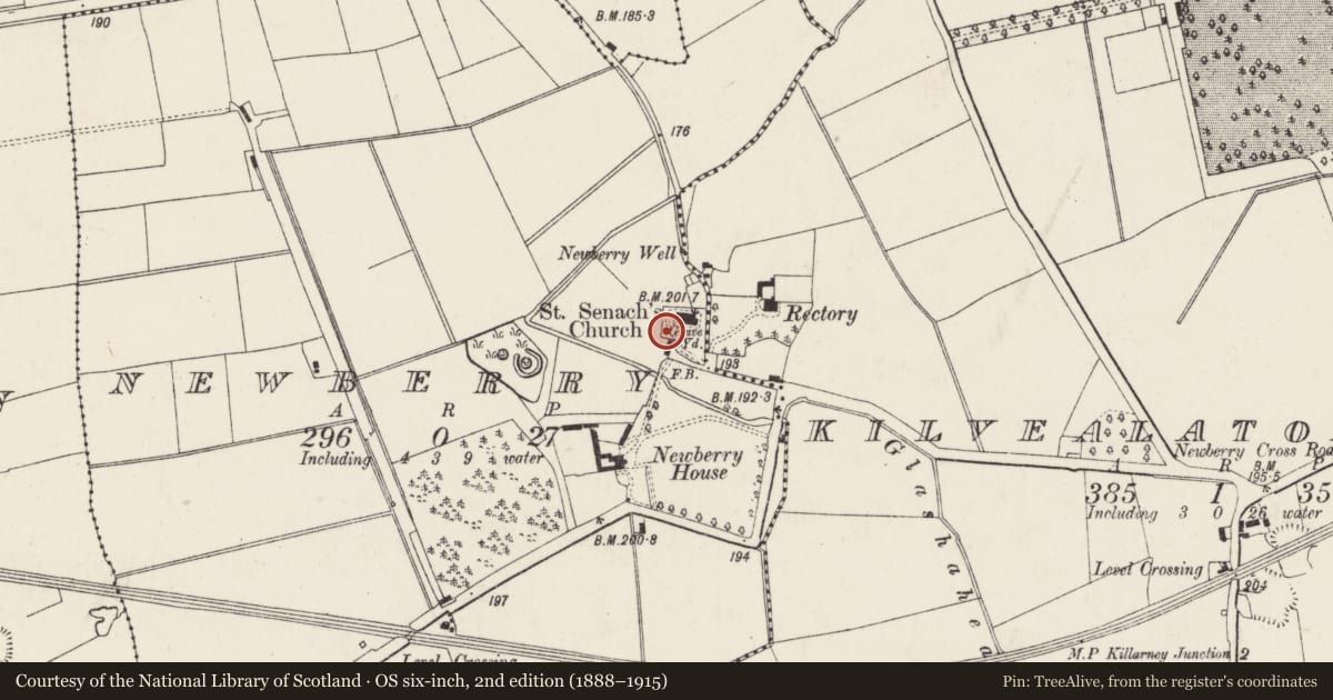 Ordnance Survey six-inch map, 2nd edition (1888–1915) covering the location of Graveyard, Newberry, County Cork, with a pin at the register's coordinates