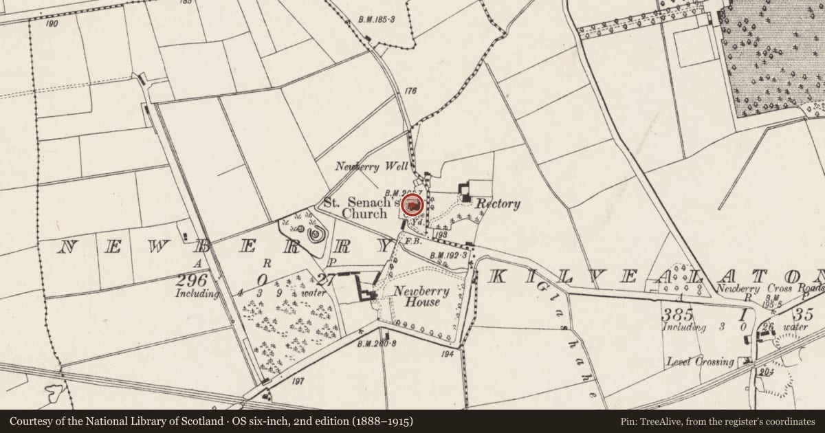 Ordnance Survey six-inch map, 2nd edition (1888–1915) covering the location of Church, Newberry, County Cork, with a pin at the register's coordinates