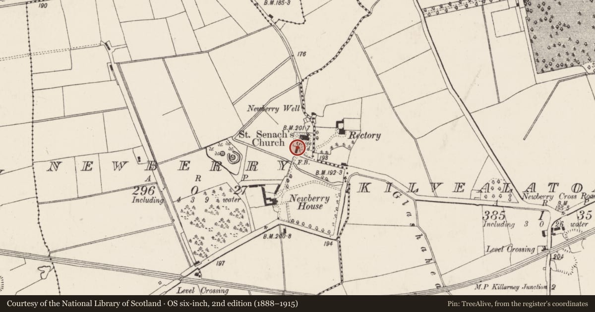 Ordnance Survey six-inch map, 2nd edition (1888–1915) covering the location of Graveslab, Newberry, County Cork, with a pin at the register's coordinates