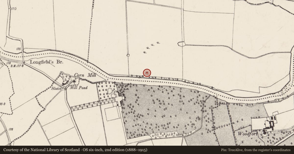 Ordnance Survey six-inch map, 2nd edition (1888–1915) covering the location of Designed landscape feature, Firville West, County Cork, with a pin at the register's coordinates