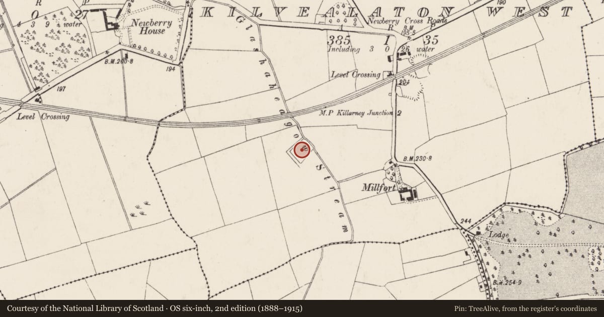 Ordnance Survey six-inch map, 2nd edition (1888–1915) covering the location of Moated site, Kilvealaton West, County Cork, with a pin at the register's coordinates