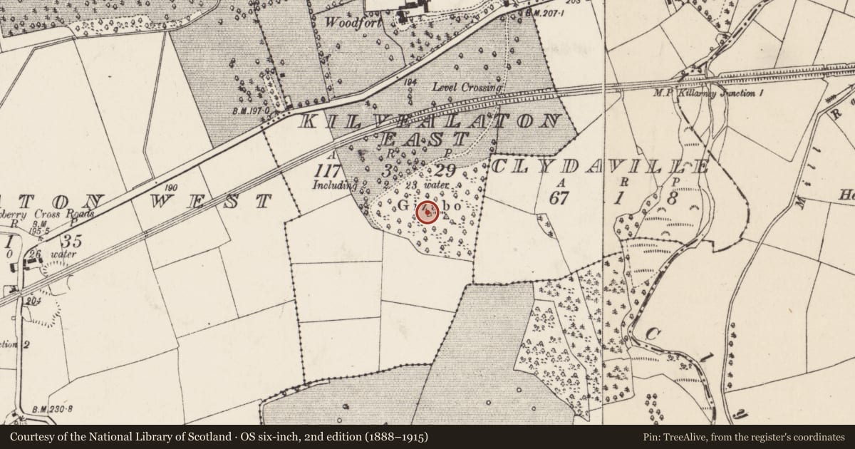 Ordnance Survey six-inch map, 2nd edition (1888–1915) covering the location of Designed landscape - belvedere, Kilvealaton East, County Cork, with a pin at the register's coordinates