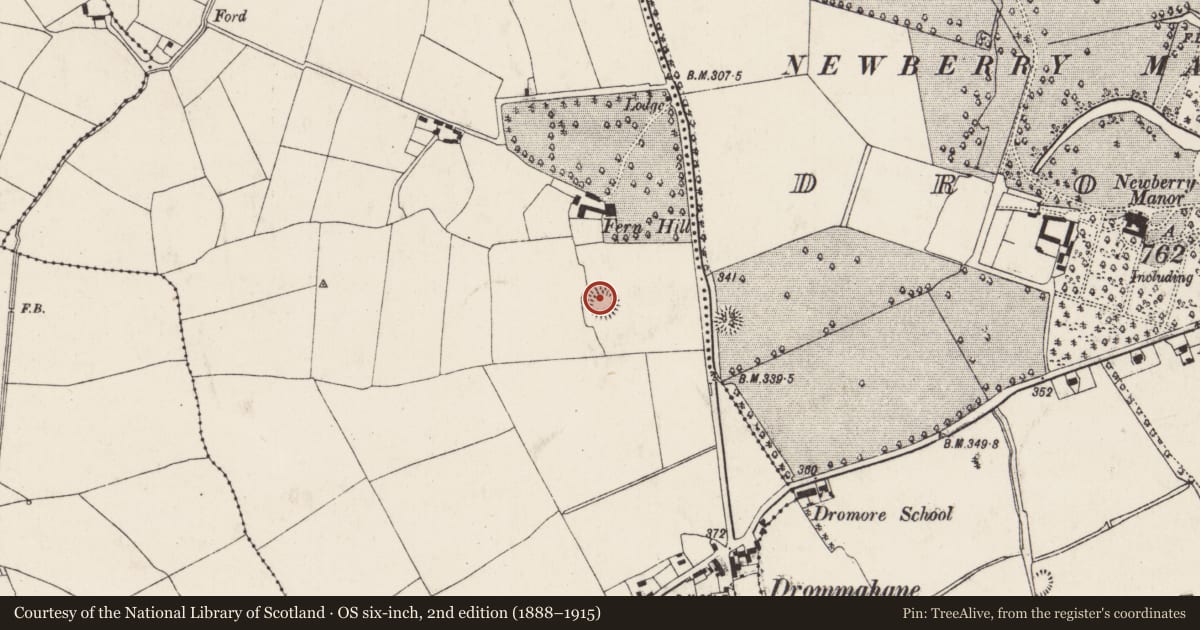 Ordnance Survey six-inch map, 2nd edition (1888–1915) covering the location of Ringfort - rath, Drommahane, County Cork, with a pin at the register's coordinates