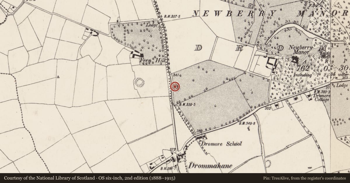 Ordnance Survey six-inch map, 2nd edition (1888–1915) covering the location of Ringfort - rath, Dromore, County Cork, with a pin at the register's coordinates