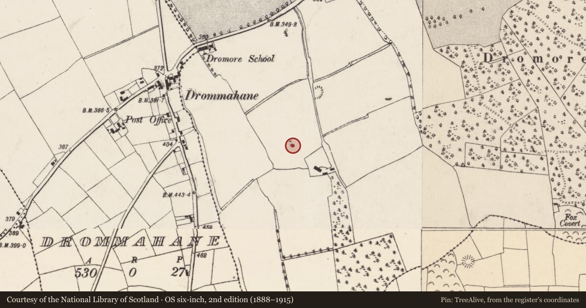 Ordnance Survey six-inch map, 2nd edition (1888–1915) covering the location of Ringfort - rath, Dromore, County Cork, with a pin at the register's coordinates