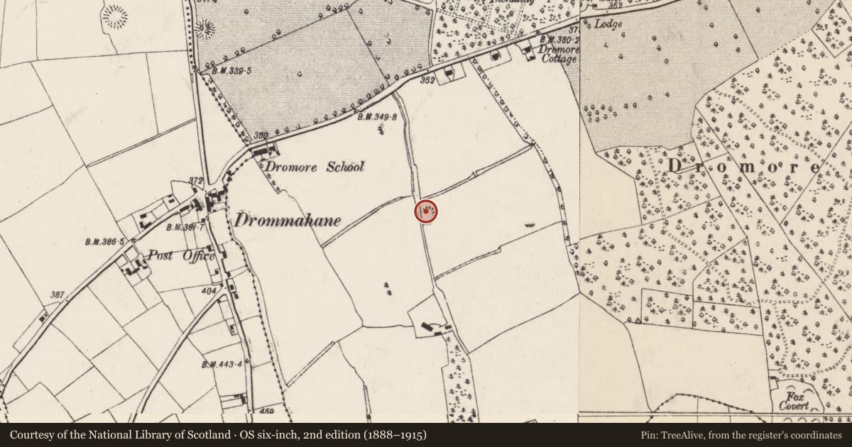Ordnance Survey six-inch map, 2nd edition (1888–1915) covering the location of Quarry, Dromore, County Cork, with a pin at the register's coordinates