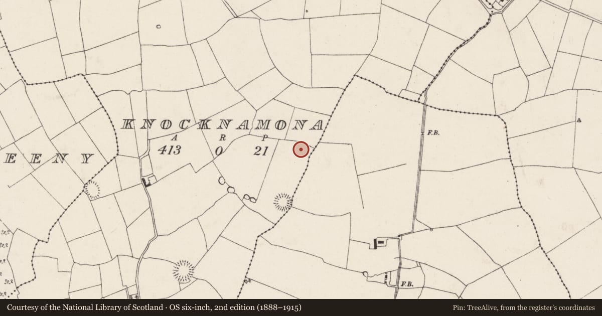 Ordnance Survey six-inch map, 2nd edition (1888–1915) covering the location of Ringfort - rath, Knocknamona, County Cork, with a pin at the register's coordinates