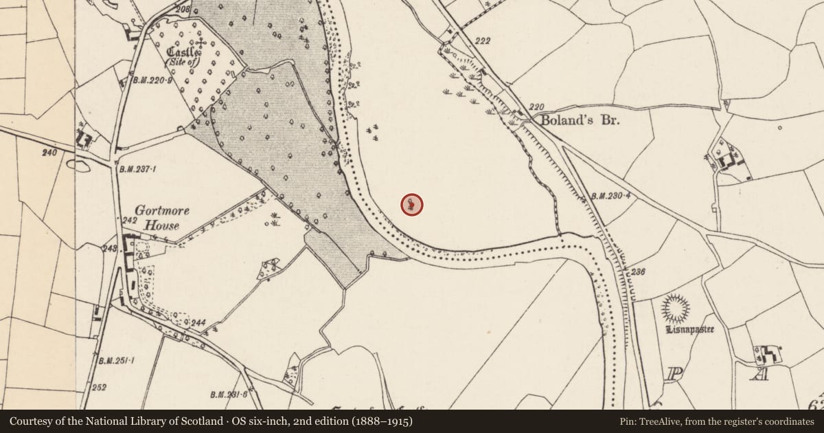 Ordnance Survey six-inch map, 2nd edition (1888–1915) covering the location of Designed landscape feature, Roskeen, County Cork, with a pin at the register's coordinates