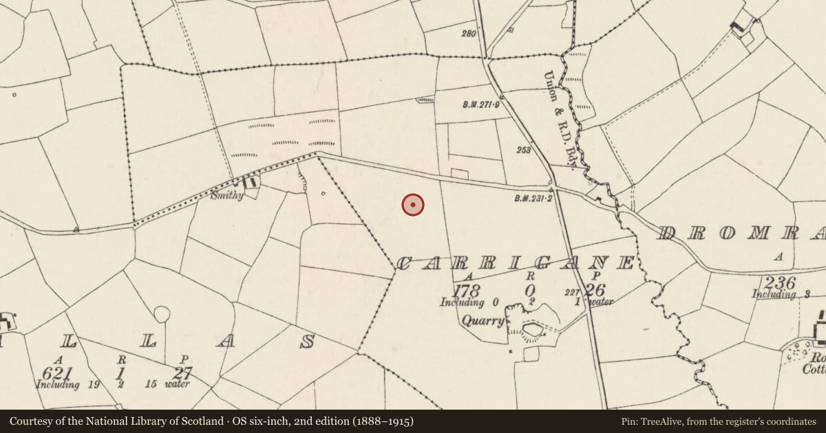 Ordnance Survey six-inch map, 2nd edition (1888–1915) covering the location of Fulacht fia, Garrigane, County Cork, with a pin at the register's coordinates
