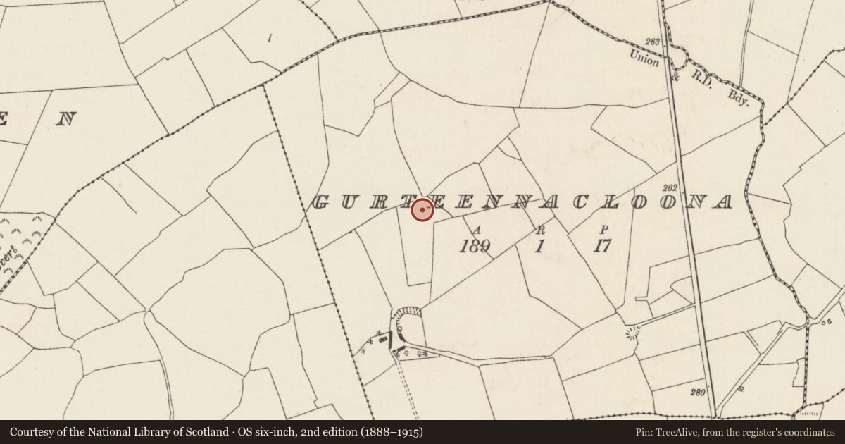 Ordnance Survey six-inch map, 2nd edition (1888–1915) covering the location of Standing stone (present location), Gurteennacloona, County Cork, with a pin at the register's coordinates