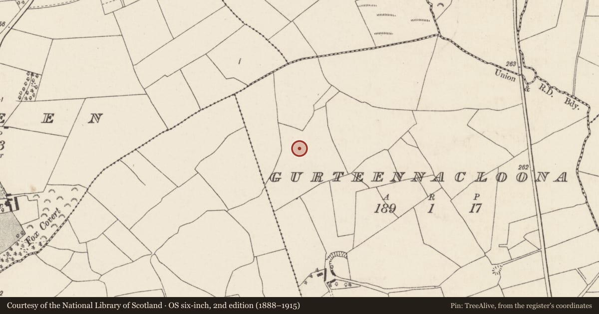 Ordnance Survey six-inch map, 2nd edition (1888–1915) covering the location of Fulacht fia, Gurteennacloona, County Cork, with a pin at the register's coordinates