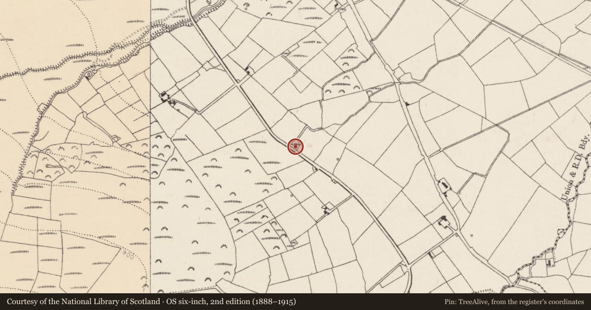 Ordnance Survey six-inch map, 2nd edition (1888–1915) covering the location of Burial ground, Gortmore, County Cork, with a pin at the register's coordinates