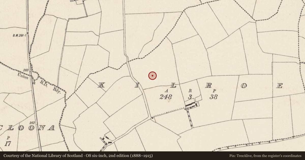 Ordnance Survey six-inch map, 2nd edition (1888–1915) covering the location of Fulacht fia, Kilroe, County Cork, with a pin at the register's coordinates