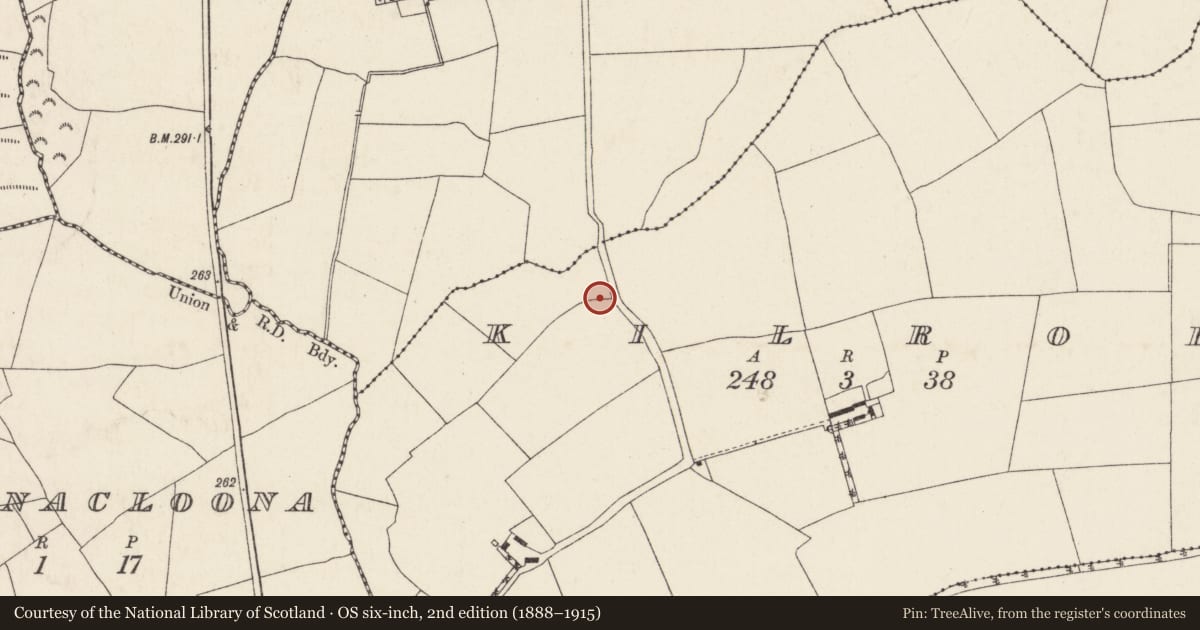 Ordnance Survey six-inch map, 2nd edition (1888–1915) covering the location of Church, Kilroe, County Cork, with a pin at the register's coordinates