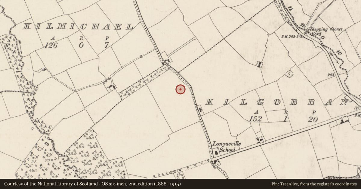 Ordnance Survey six-inch map, 2nd edition (1888–1915) covering the location of Mass-rock, Longueville, County Cork, with a pin at the register's coordinates