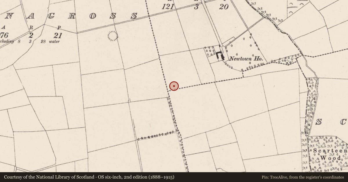 Ordnance Survey six-inch map, 2nd edition (1888–1915) covering the location of Fulacht fia, Newtown, County Cork, with a pin at the register's coordinates