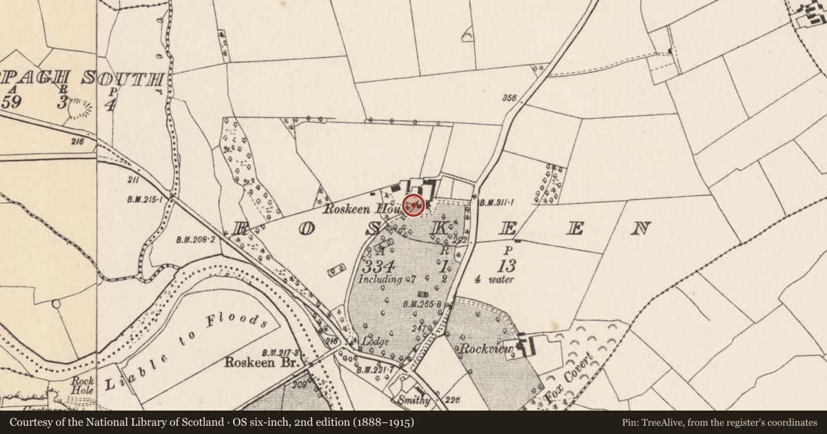 Ordnance Survey six-inch map, 2nd edition (1888–1915) covering the location of Church, Roskeen, County Cork, with a pin at the register's coordinates