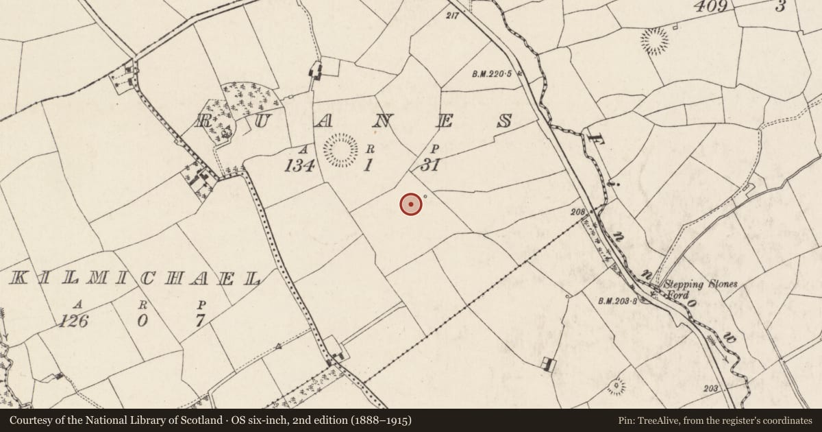 Ordnance Survey six-inch map, 2nd edition (1888–1915) covering the location of Mound, Ruanes, County Cork, with a pin at the register's coordinates