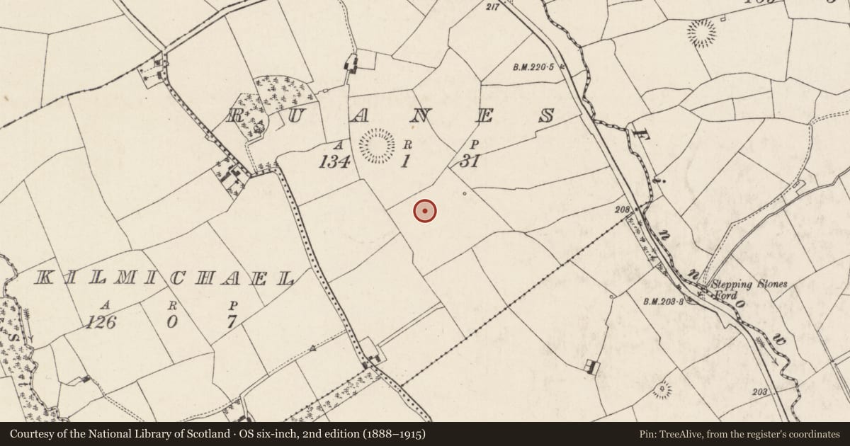 Ordnance Survey six-inch map, 2nd edition (1888–1915) covering the location of Mound, Ruanes, County Cork, with a pin at the register's coordinates