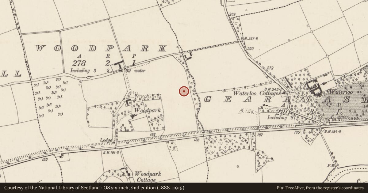 Ordnance Survey six-inch map, 2nd edition (1888–1915) covering the location of Fulacht fia, Woodpark, County Cork, with a pin at the register's coordinates