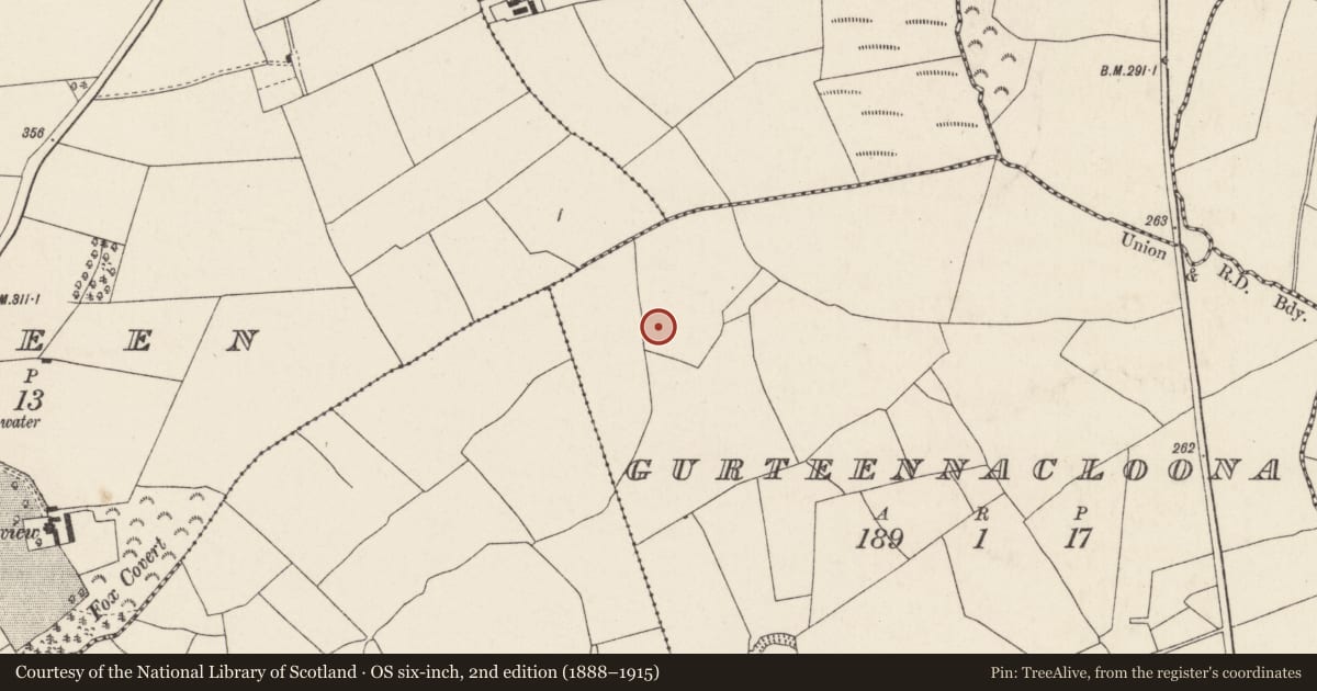Ordnance Survey six-inch map, 2nd edition (1888–1915) covering the location of Fulacht fia, Gurteennacloona, County Cork, with a pin at the register's coordinates